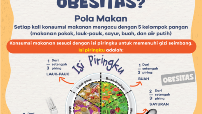 Pola Makan Sehat Untuk Mencegah Diabetes Dan Obesitas