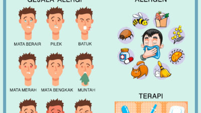 Alergi: Imunologi Dan Pengobatan