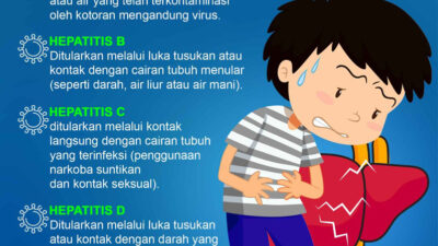 Hepatitis: Jenis Dan Penularan