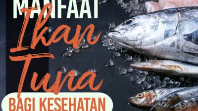 Strategi Meningkatkan Kesehatan Ikan Melalui Program Vaksinasi