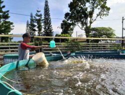 Menerapkan Teknik Pengawasan Kualitas Produk Ikan