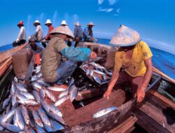 Membangun Jaringan Kerja Sama Dengan Nelayan Lokal