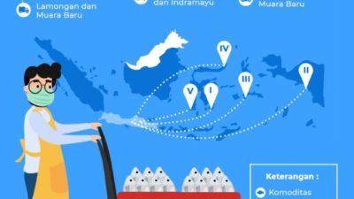 Mengatasi Tantangan Logistik Dalam Distribusi Ikan Segar