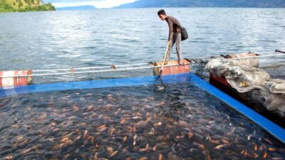 Strategi Menghadapi Perubahan Iklim Dalam Budidaya Ikan