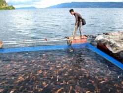 Mengelola Sumber Daya Alam Secara Berkelanjutan Dalam Budidaya Ikan