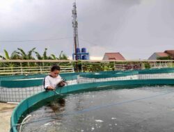 Mengelola Pemantauan Kualitas Air Kolam Ikan Secara Real-Time