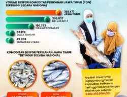 Memahami Potensi Pasar Ekspor Produk Ikan