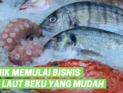 Strategi Pemasaran Inovatif Untuk Produk Ikan Beku