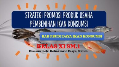 Strategi Pengembangan Produk Ikan Untuk Menyasar Pasar Ekspor