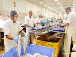 Strategi Pengembangan Produk Olahan Ikan Untuk Pasar Ekspor